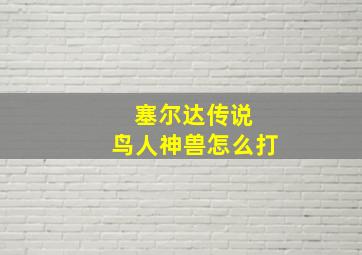 塞尔达传说 鸟人神兽怎么打